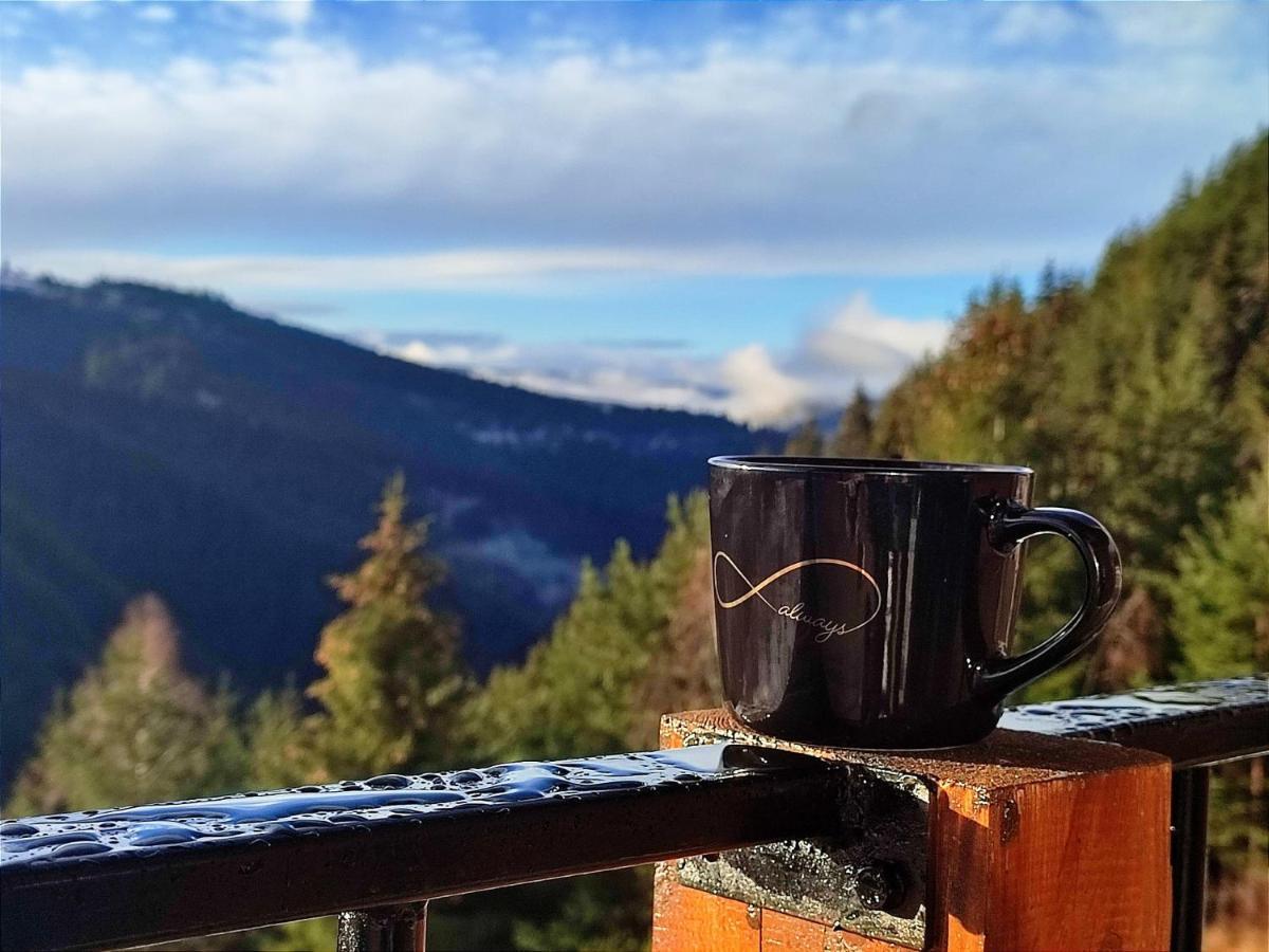 فيلا Infinity Cabin Rasca  المظهر الخارجي الصورة